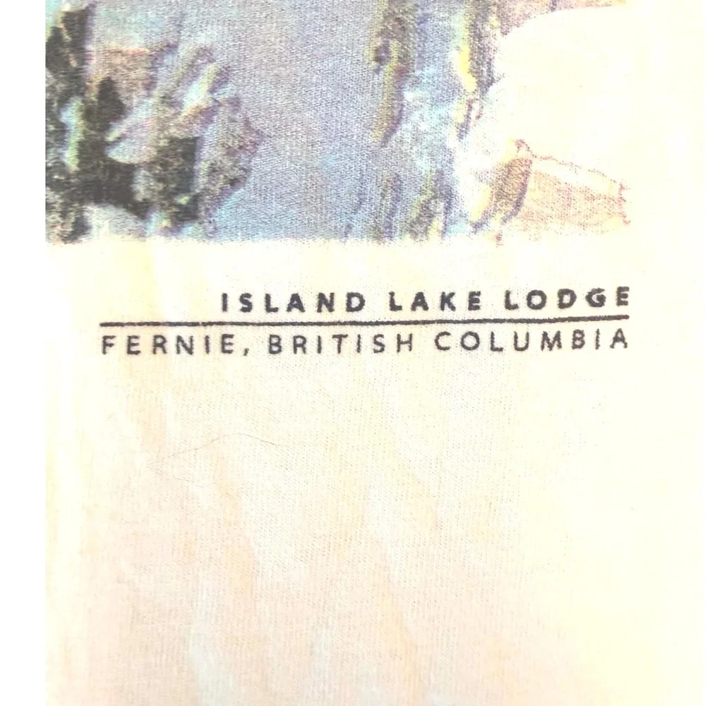 Vintage The North Face Steep Tech Skier T-Shirt Island Lake Lodge Fernie BC